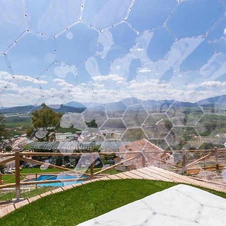 Finca Puerto Ermita - Cerca Malaga 20Km - Pizarra Eksteriør billede
