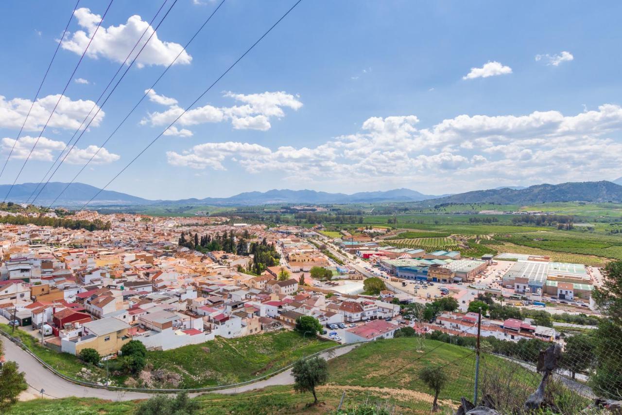 Finca Puerto Ermita - Cerca Malaga 20Km - Pizarra Eksteriør billede